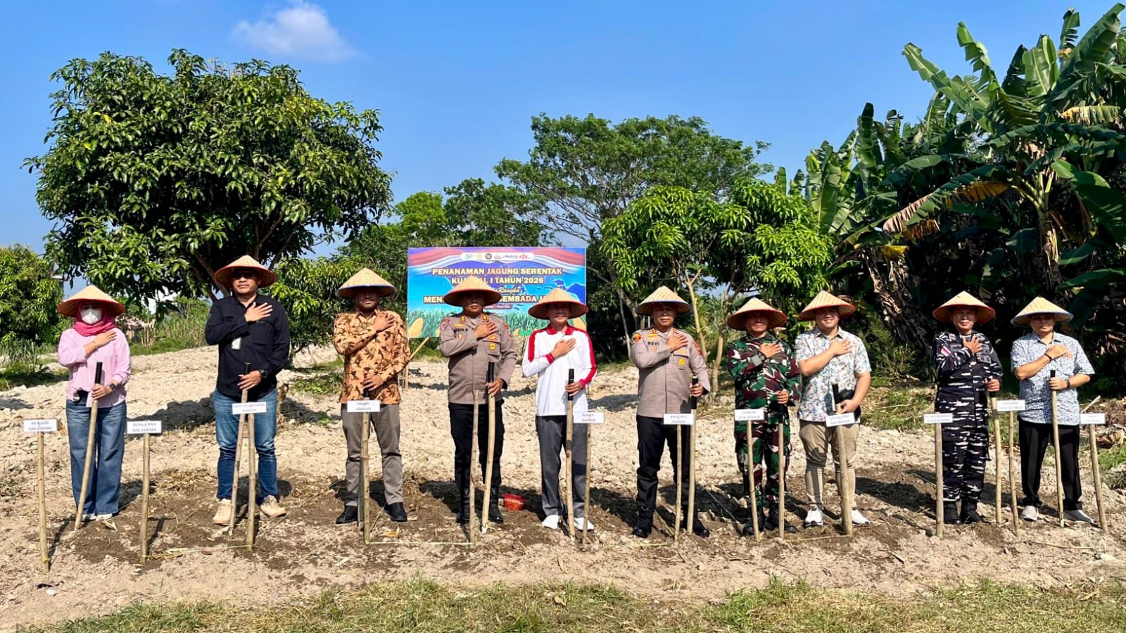 BRI BO Kisaran Ikuti Tanam Raya Jagung Serentak, Dukung Swasembada Pangan 2026
